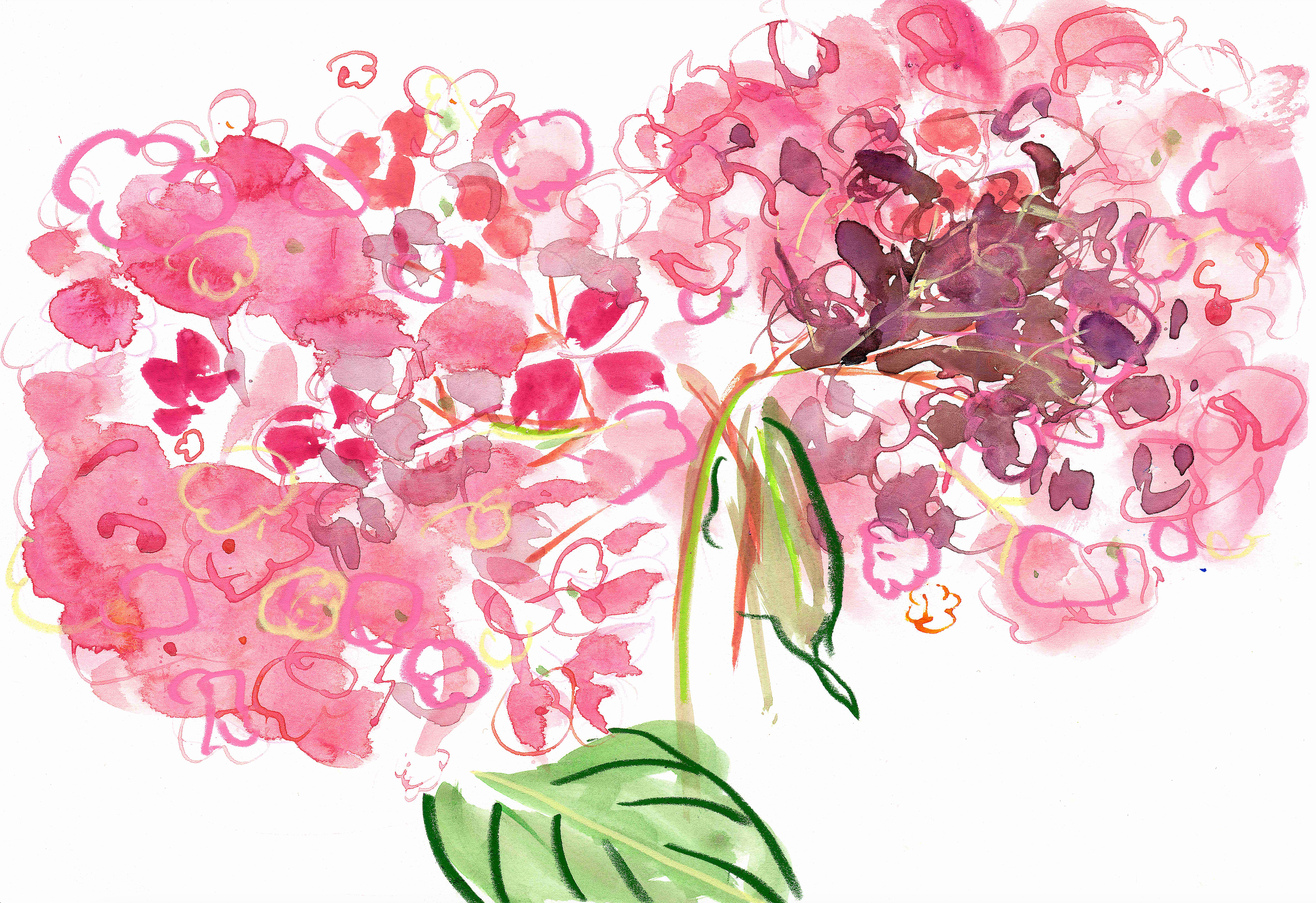 Liz-Lind-Pink-Hydrangias-32x22_18_web.png