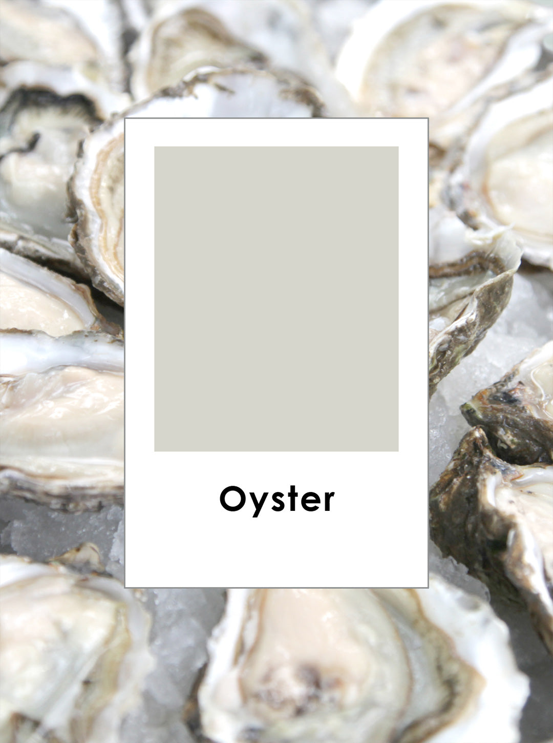 oyster.jpg